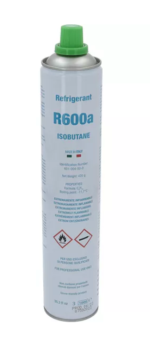 BOMBOLA MONOUSO 420 gr R600a